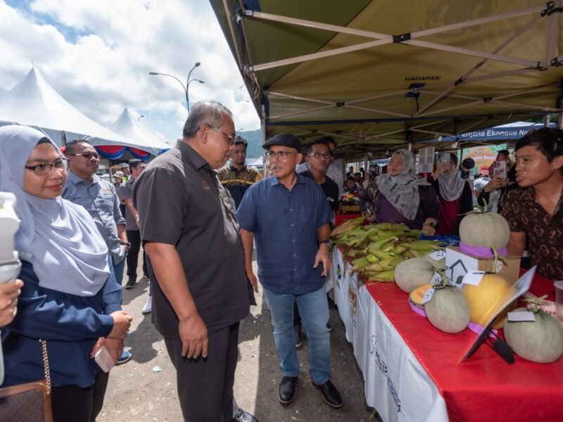 MAFI MELALUI FAMA GIAT USAHA PERKUKUH<br>RANTAIAN PEMASARAN PERTANIAN DI SABAH