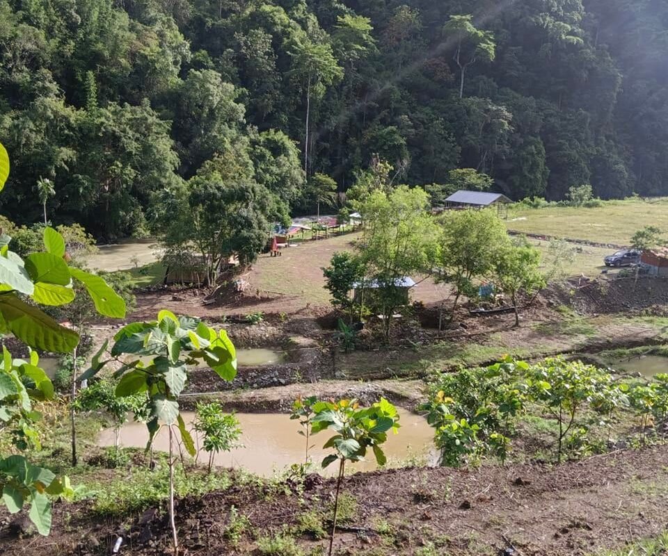 Tongkoluson Campsite