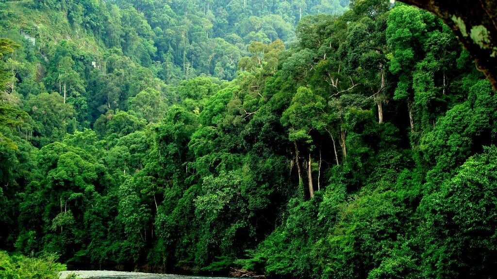53 peratus hutan Sabah dilindungi, atasi sasaran Deklarasi Langkawi